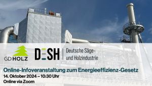 Foto © DESH- enefg-webinar-sharepic