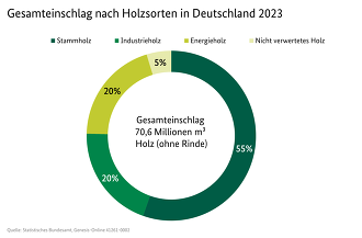 Holzeinschlagsstatistik 2023   Quelle BMEL